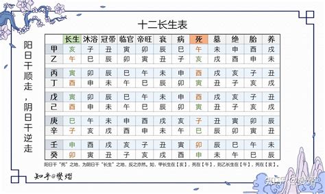 12 長生|【12 長生】揭開十二長生之謎：深入淺出的八字算命基礎課